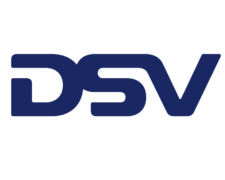 Dsv logo