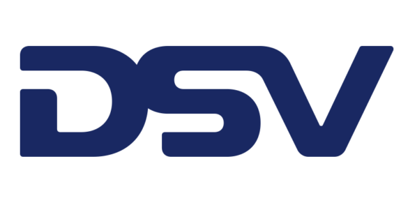 Dsv logo