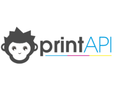 Printapi logo
