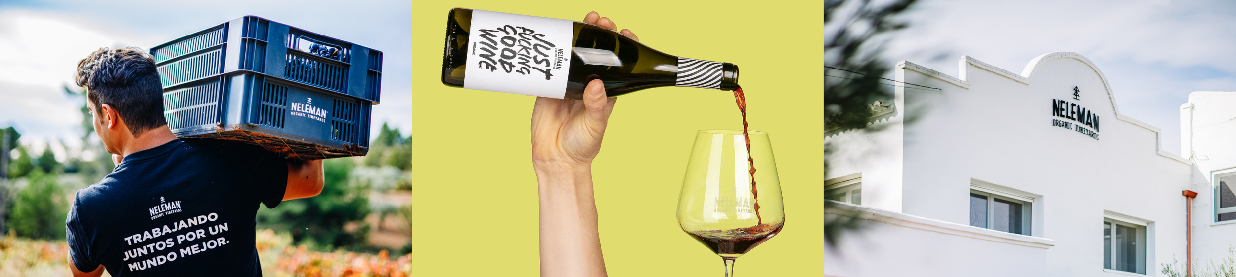 Neleman Landscape New